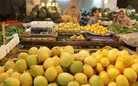 بعد تخطيه الـ50 جنيها.. شعبة الخضروات توضح موعد انخفاض أسعار الليمون