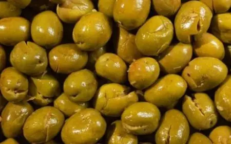 رئيس شركة أفرو لاند: طن الزيتون يُباع بـ90 ألف جنيه.. وتكلفة زراعة الفدان الواحد لا تتخطى الـ25 ألفا