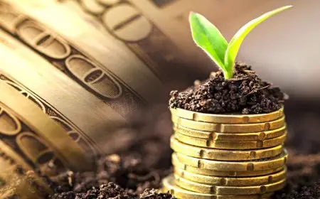 تمويل بـ 3 ملايين جنيه بفائدة تنافسية.. قرض البنك الأهلي لأصحاب المزارع