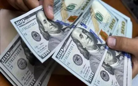 سعر الدولار اليوم الأربعاء 25 ديسمبر 2024 بعد التراجع الأخير