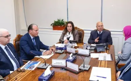 وزير الصناعة ووزيرة التنمية المحلية يبحثان مشروعات برنامج التنمية بالصعيد