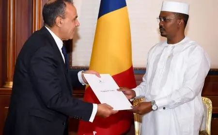 وزير الخارجية يسلم رسالة من الرئيس السيسي إلى رئيس جمهورية تشاد
