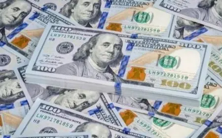 سعر صرف الدولار مقابل الجنيه اليوم السبت 28 ديسمبر 2024