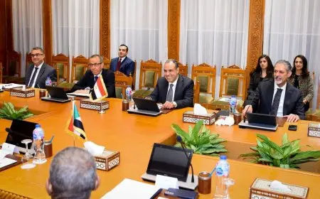 وزير الخارجية: تجهيز عدد من المدارس لإتمام امتحانات أبناء الجالية السودانية