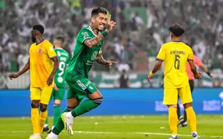 فنربخشة يُغري فيرمينو على طريقة ماكسيمين