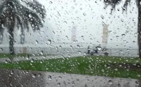 هطول أمطار في الإسكندرية مع تحسن حركة الملاحة والصرف الصحي يواصل جهوده