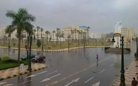 نوة رأس السنة 2025 .. طقس شديد البرودة في مصر وجدول نوات الإسكندرية وتوقعات حالة الطقس