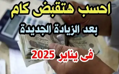 زيادة معاشات شهر يناير 2025 موعد الصرف وطريقة الاستعلام عن الزيادة الجديدة عبر موقع هيئة التأمينات الاجتماعية