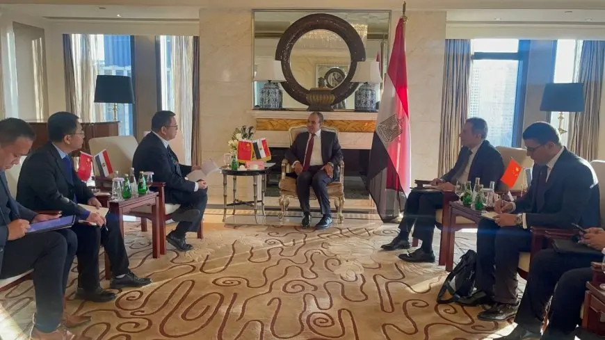 وزير الخارجية يلتقي بنائب رئيس شركة “جريت وول” الصينية لصناعة السيارات