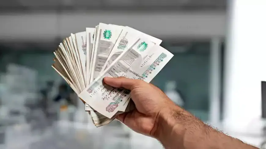 اليوم..بدء صرف ” تكافل وكرامة” عن شهر ديسمبر على مستوى الجمهورية