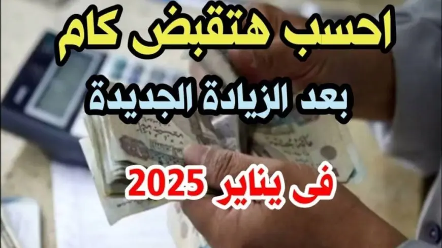 زيادة معاشات شهر يناير 2025 موعد الصرف وطريقة الاستعلام عن الزيادة الجديدة عبر موقع هيئة التأمينات الاجتماعية