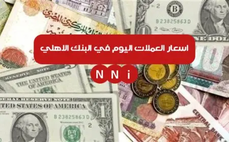 الدولار والريال والدينار.. اسعار العملات الأجنبية والعربية في البنك الأهلي المصري اليوم الخميس 2 يناير 2025