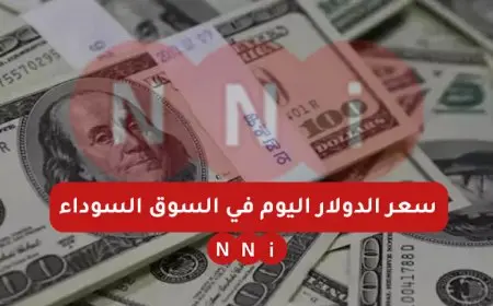 سعر الدولار اليوم في السوق السوداء مقابل الجنية المصري الخميس 2 يناير 2024 سعر الدولار في البنوك
