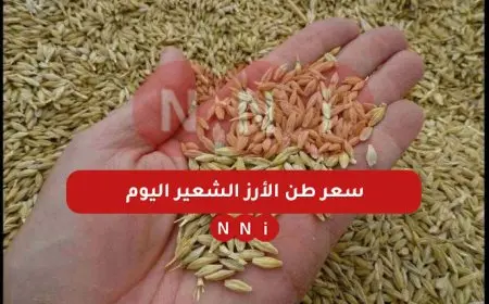 سعر طن الأرز الشعير اليوم الثلاثاء 7 يناير 2025 في مصر واخر اسعار الارز الابيض في الاسواق