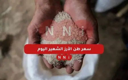 عريض ورفيع.. سعر طن الأرز الشعير اليوم الاربعاء 8 يناير 2025 أسعار السلع الغذائية الأساسية في الاسواق والمحلات