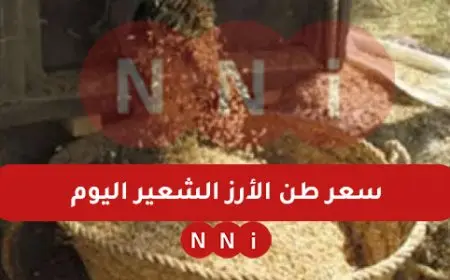 سعر طن الأرز الشعير اليوم الاحد 5 يناير 2025 اسعار الارز الابيض في الاسواق