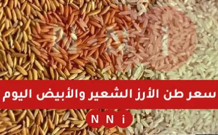 سعر طن الأرز الشعير اليوم الجمعة 10 يناير 2025 اسعار الارز في كافة الأسواق المصرية