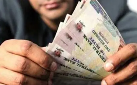 زيادة المعاشات الجديدة 2025 خطوات الاستعلام عن المعاشات وموعد صرف شهر فبراير