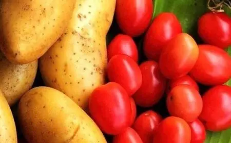 أسعار البطاطس اليوم في سوق العبور الاحد 5 يناير 2025 سعر الفاكهة والخضراوات في الاسواق