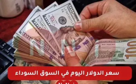 الامريكي بكام؟.. سعر الدولار اليوم في السوق السوداء مقابل الجنيه المصري وداخل البنوك الاحد 5 يناير 2025