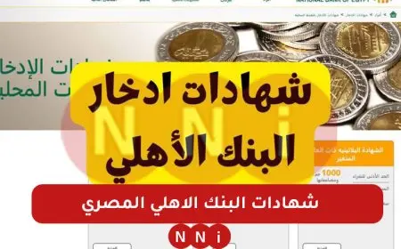 أكسب فلوس .. الشهادة البلاتينية السنوية من شهادات البنك الأهلي المصري بعائد يصل إلى 27%