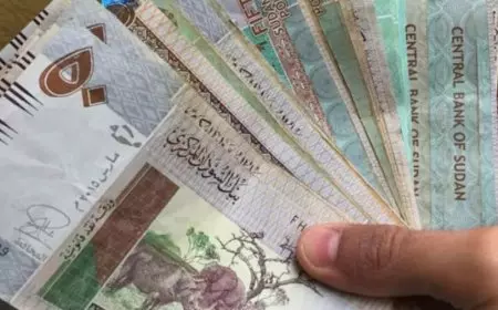 سعر الجنية السوداني اليوم مقابل الجنية المصري الجمعة 10 يناير 2025 في البنوك والسوق السوداء