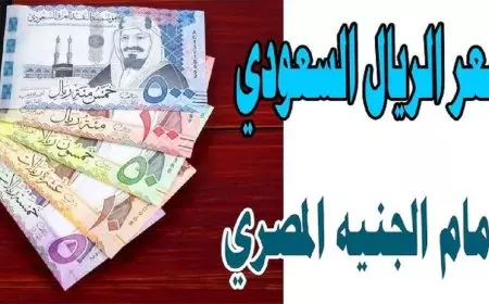 سعر الريال السعودي اليوم في البنوك مقابل الجنيه المصري الاحد 12 يناير 2025