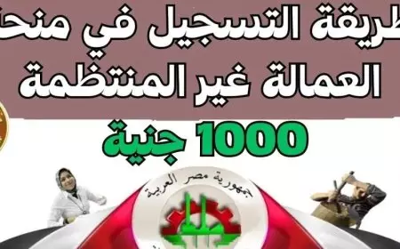 1000 جنيه.. رابط التقديم في منحة العمالة الغير منتظمة 2025 بالرقم القومي عبر موقع وزاره القوى العامله manpower.gov.eg
