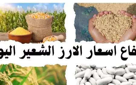 سعر طن الأرز الشعير اليوم الاثنين 13 يناير 2025 أسعار السلع الاستهلاكية في الاسواق والمحلات