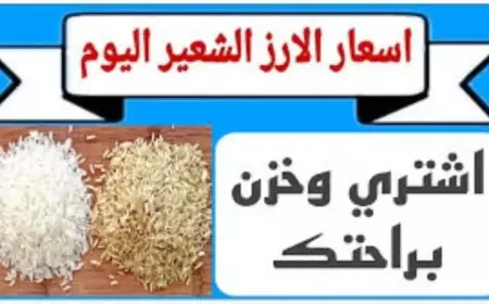 العريض بكام؟.. سعر طن الأرز الشعير اليوم في الأسواق المحلية للمستهلكين الاربعاء 15 يناير 2025