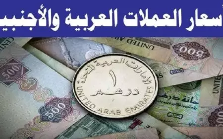 اسعار العملات اليوم في السوق السوداء الاربعاء الموافق 15 يناير 2025 وفق آخر تحديث صادر عن البنوك لقيمتي البيع والشراء