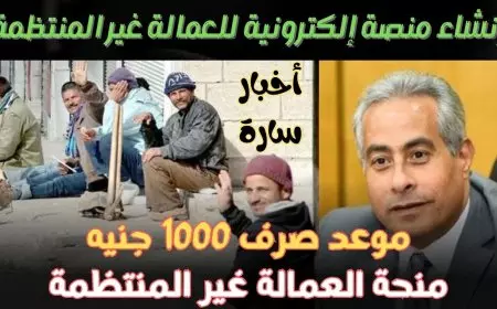 1000 جنية كاش.. صرف منحة العمالة الغير منتظمة 2025 بالرقم القومي عبر موقع وزارة القوي العاملة