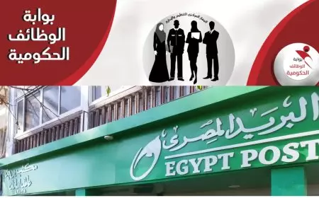 خطوات الاستعلام عن نتائج وظائف البريد المصري 2025 بالرقم القومي عبر بوابة الوظائف الحكومية