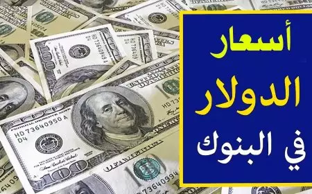 سعر الدولار اليوم في السوق السوداء مقابل الجنيه المصري الاربعاء 15 يناير 2025 تحديث للشراء و للبيع