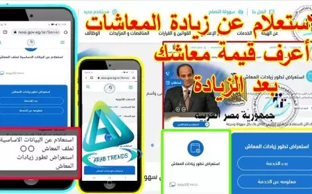 الهيئة القومية للتأمينات الاجتماعية استعلام عن معاش التأمينات بالرقم القومي 2025 عبر nosi.gov.eg