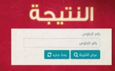 لينك رسمي.. نتيجة الصف الأول الاعدادي والثاني الاعدادي لجميع المحافظات عبر بوابه التعليم الأساسي 2025 بالاسم ورقم الجلوس