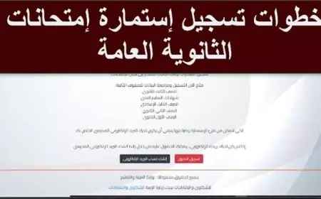 رابط التسجيل الالكتروني لاستمارة الثانوية العامة 2025 عبر موقع https://moe-register.emis.gov.eg/