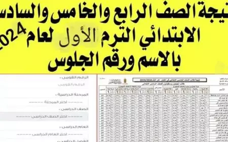 بوابة الاساسي.. نتيجة الصف الرابع - الخامس - السادس الابتدائي 2025 بالاسم ورقم الجلوس عبر موقع وزارة التربية والتعليم