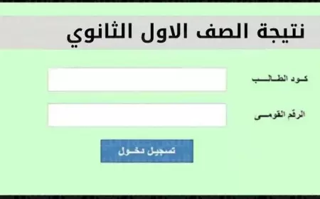 نتيجة الصف الأول والثاني الثانوي الترم الثاني 2025 محافظة الجيزة عبر موقع مديرية التربية والتعليم بالجيزة برقم الجلوس وبالاسم