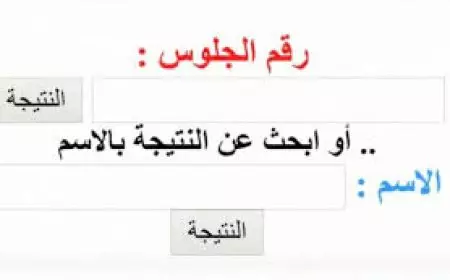 نتيجة الصف الرابع والخامس والسادس الابتدائي الترم الأول 2025 بوابة التعليم الاساسي برقم الجلوس
