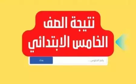 ”مليون مبروك للناجحين”.. نتيجة الصف الخامس الابتدائي برقم الجلوس عبر بوابة التعليم الأساسي