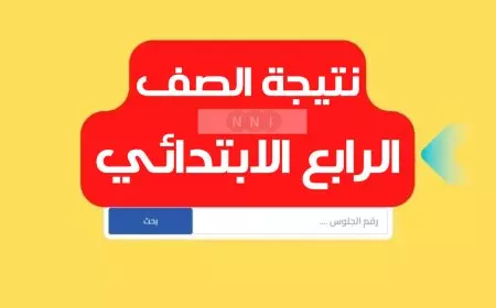 كل المحافظات .. نتيجة الصف الرابع الابتدائي برقم الجلوس والاسم او بالرقم القومي الترم الثاني 2025