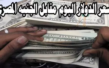 هبوط مفاجىء.. سعر الدولار اليوم في السوق السوداء مقابل الجنية المصري واخر اسعار الدولار في البنك الاهلي ومصر