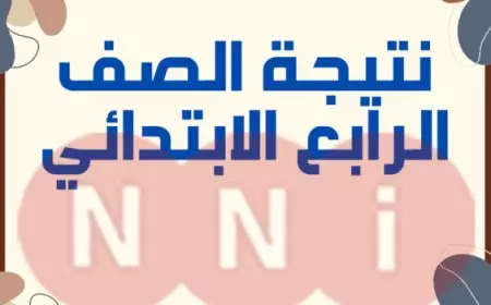 لينك صاروخ.. طريقة الاستعلام عن نتيجة الصف الرابع الابتدائي الترم الأول 2025 عبر eduserv.cairo.gov.eg