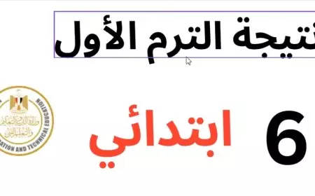 بوابة التعليم الأساسي..  خطوات الاستعلام عن نتيجه الصف السادس الابتدائي 2025