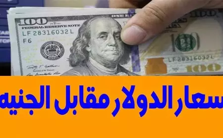 سعر الدولار اليوم مقابل الجنيه المصري الأثنين 20 يناير 2025 في السوق السوداء وداخل البنوك
