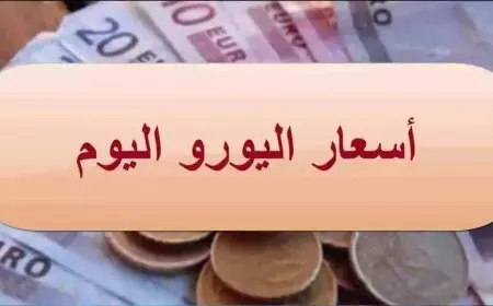 سعر اليورو اليوم في البنوك وداخل السوق السوداء الاثنين 20 يناير 2025 مقابل الجنيه المصري