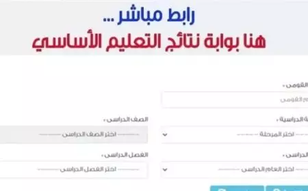 نتائج سنوات النقل عبر بوابة التعليم الأساسي برقم الجلوس 2025 eduserv.cairo.gov.eg – NNi
