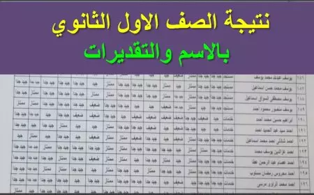 ساعات قليلة.. نتيجة الصف الأول الثانوي 2025 محافظة القاهرة عبر موقع وزارة التربية والتعليم
