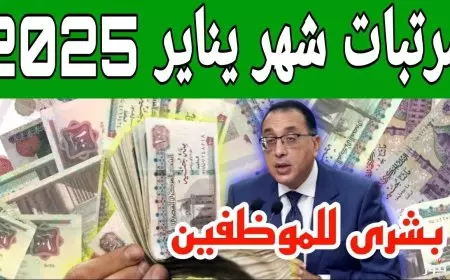 وزارة المالية.. موعد صرف مرتبات شهر يناير 2025 لجميع الموظفين بالقطاع العام والخاص